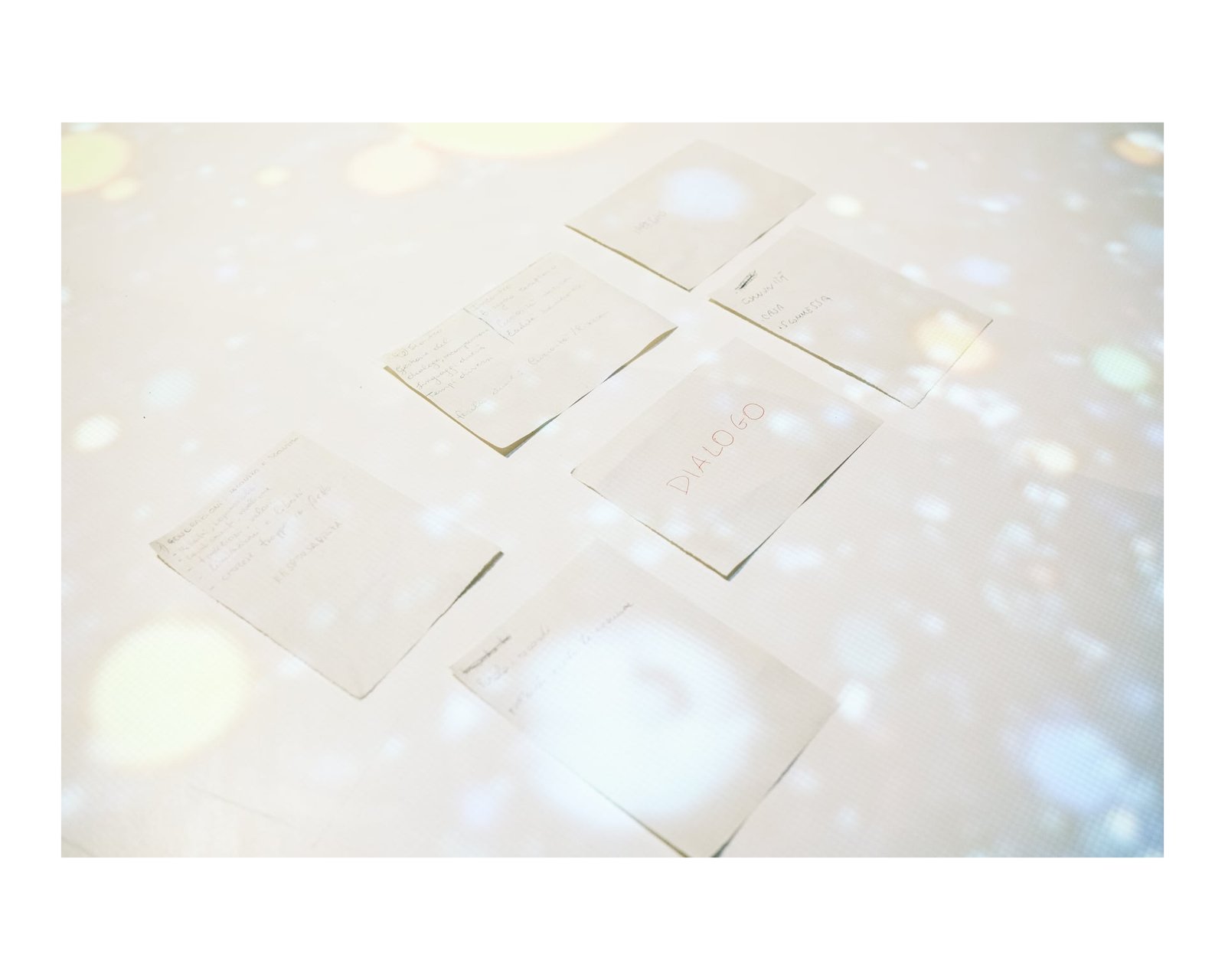 Immagine edizione 2025